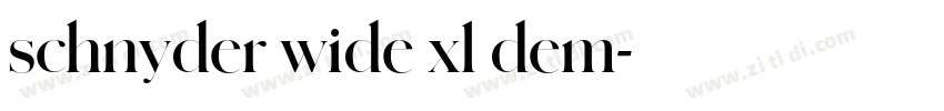 schnyder wide xl dem字体转换